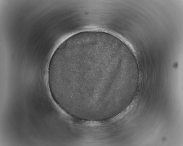 X0000103281239200809191758