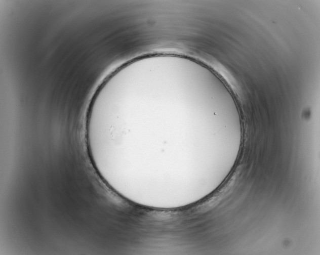 X0000103281240200809191758