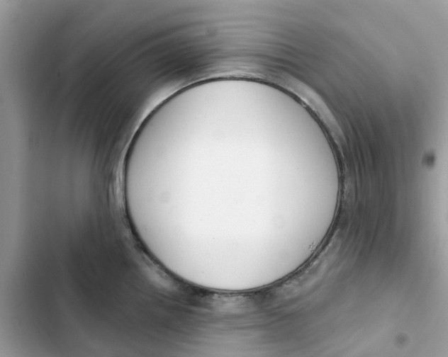 X0000103281242200809191759