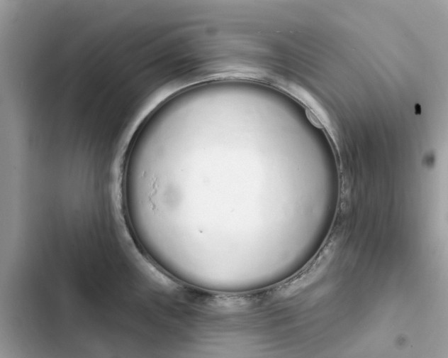 X0000103281243200809191759