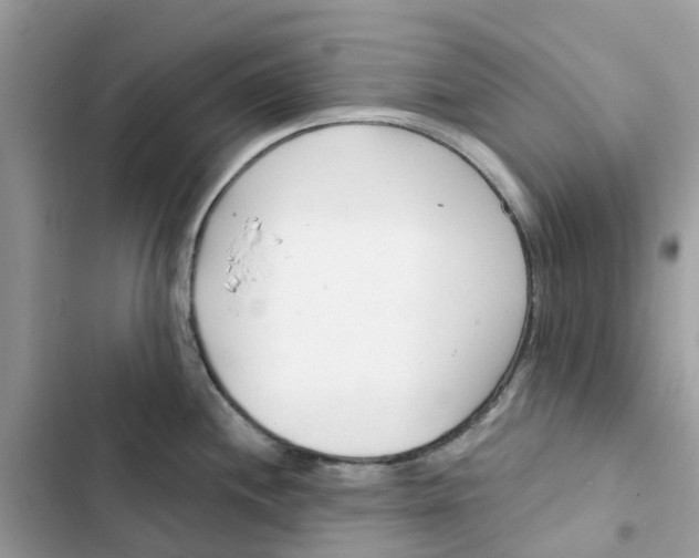 X0000103281244200809191759