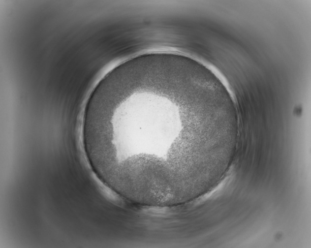 X0000103281245200809191759