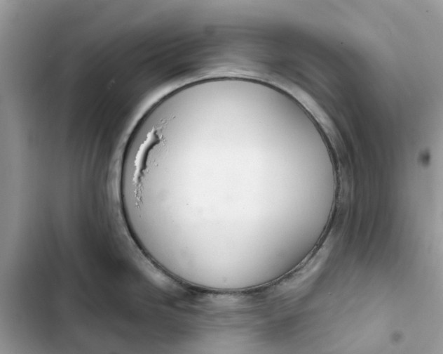 X0000103281246200809191759