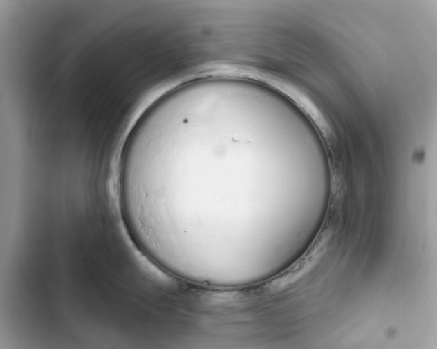 X0000103281247200809191759