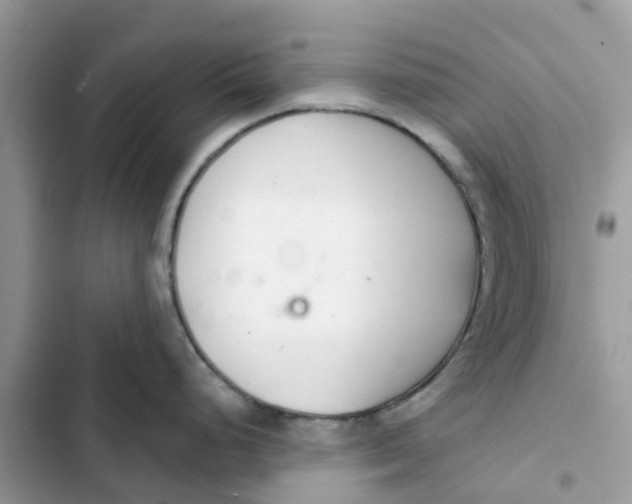 X0000103281248200809191759