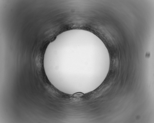 X0000103281250200809191758