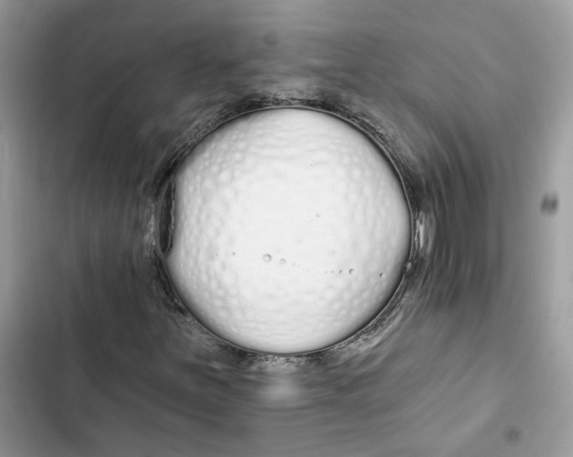 X0000103281251200809191758