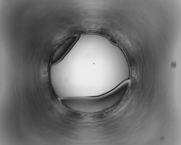 X0000103281252200809191758