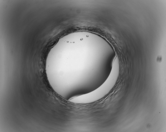 X0000103281253200809191758