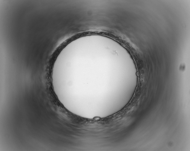 X0000103281256200809191758