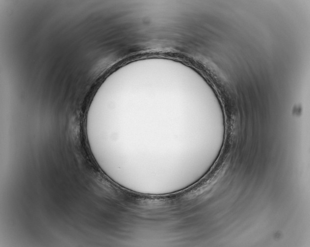 X0000103281257200809191758