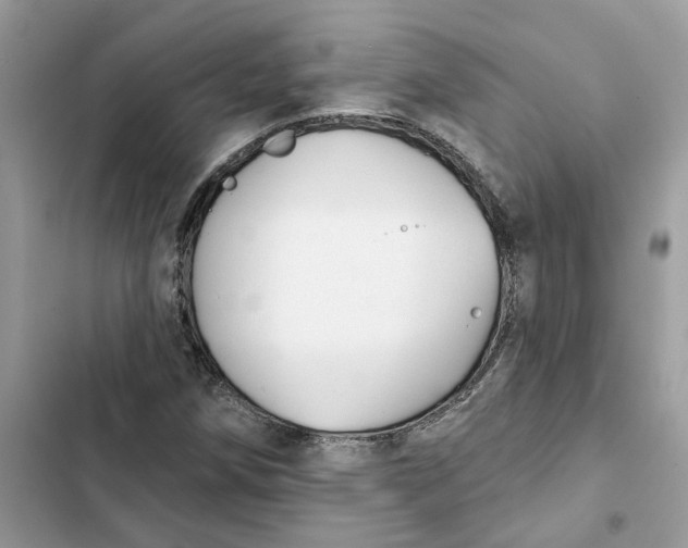 X0000103281258200809191758