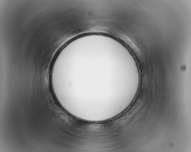 X0000103281268200809191758