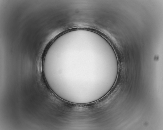 X0000103281269200809191757