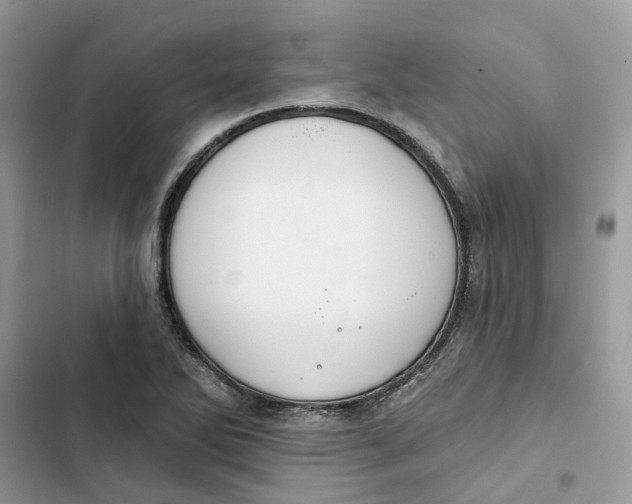 X0000103281270200809191757