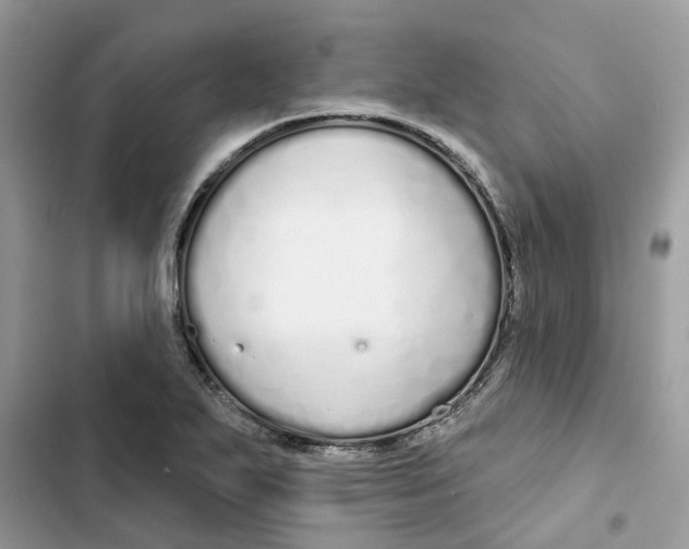 X0000103281271200809191757