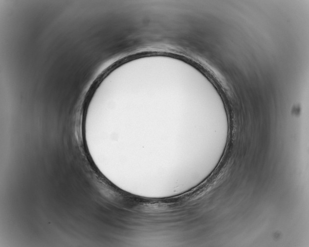 X0000103281272200809191757