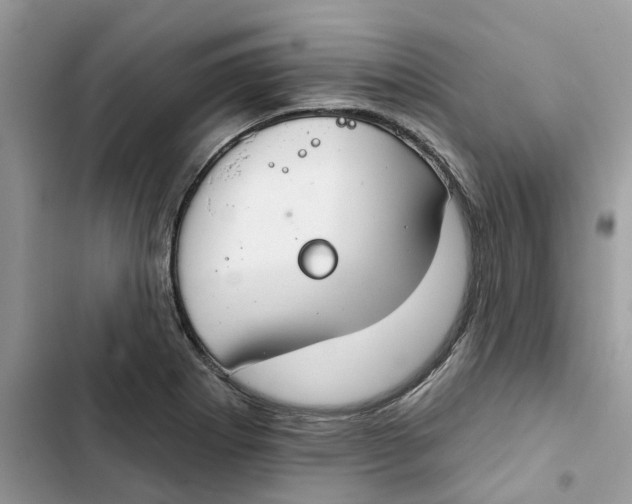 X0000103281273200809191757