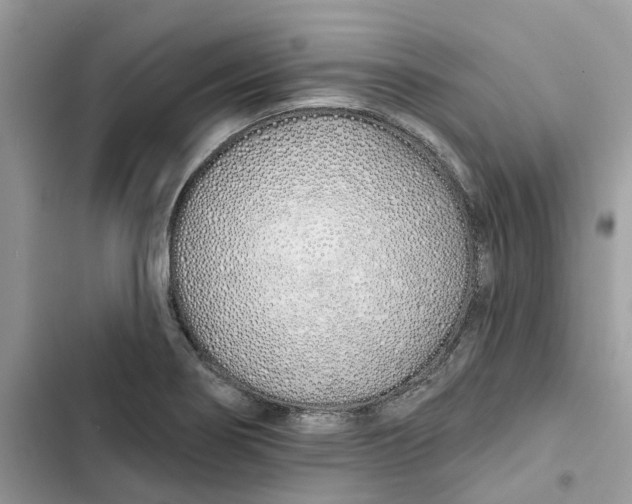 X0000103281274200809191757