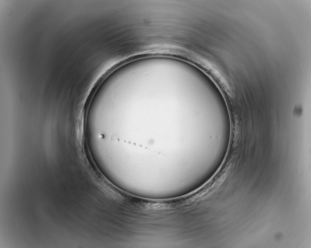 X0000103281275200809191757