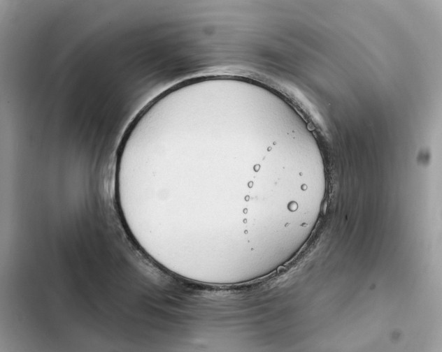 X0000103281276200809191757