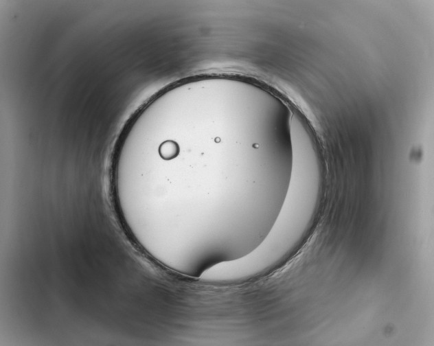 X0000103281277200809191757