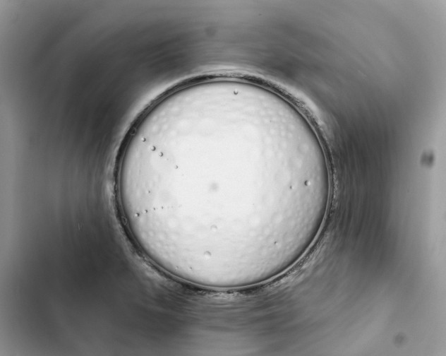 X0000103281279200809191757