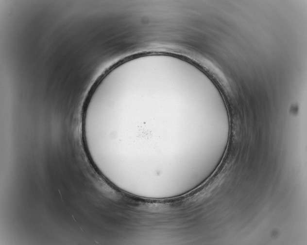 X0000103281280200809191757