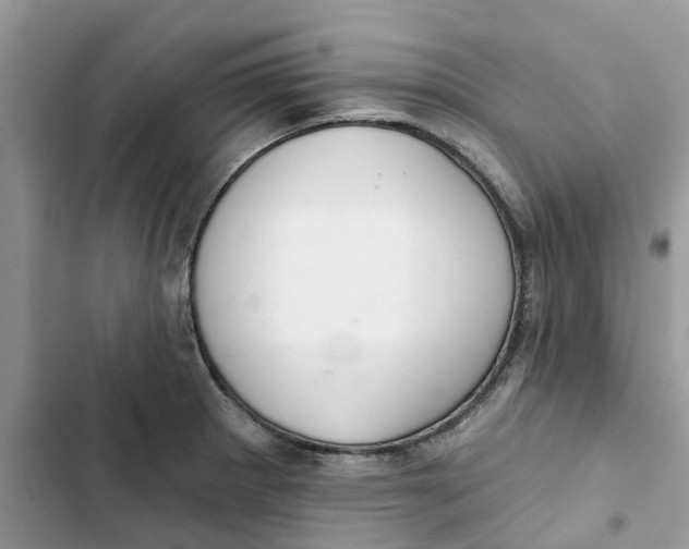 X0000103281281200809191757