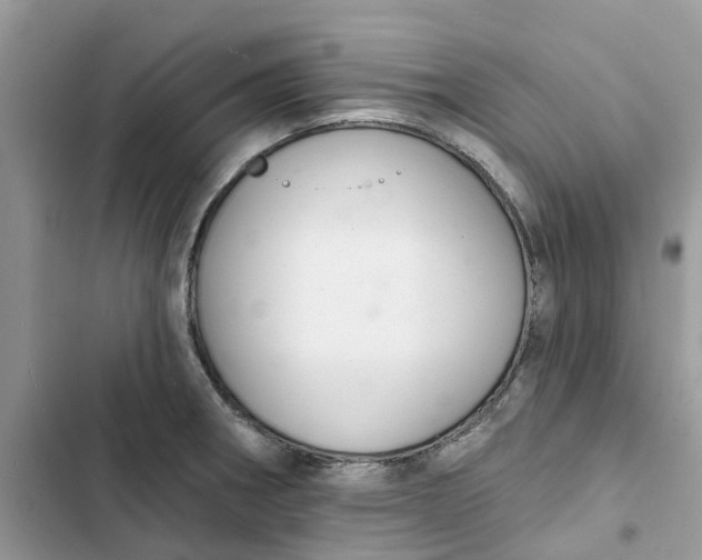 X0000103281282200809191757