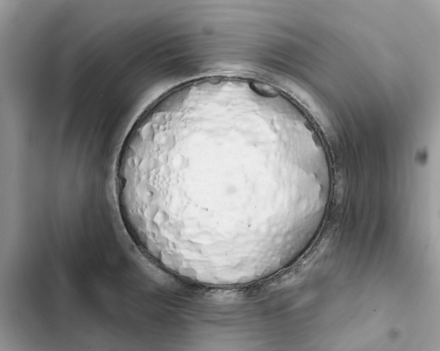 X0000103281283200809191757