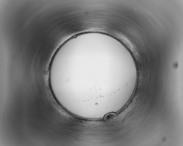 X0000103281284200809191757