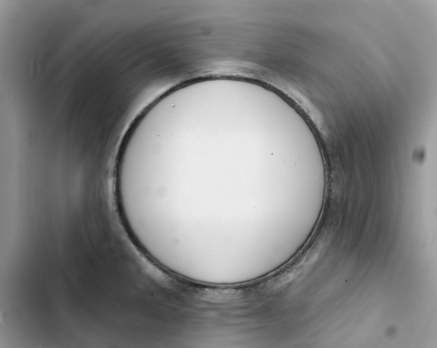 X0000103281285200809191757