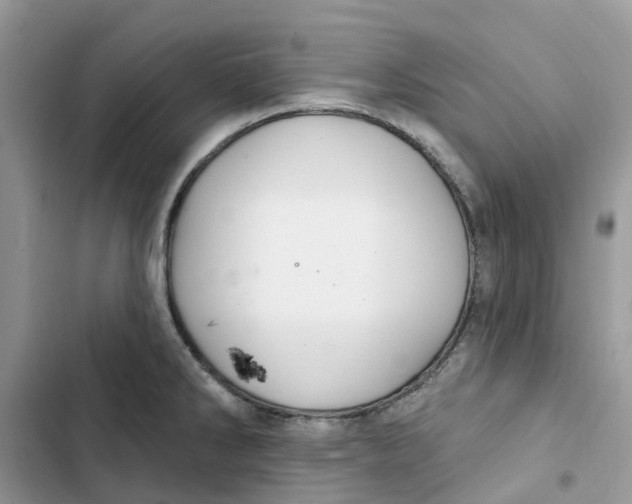 X0000103281286200809191757