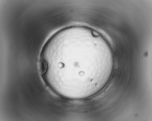 X0000103281287200809191757