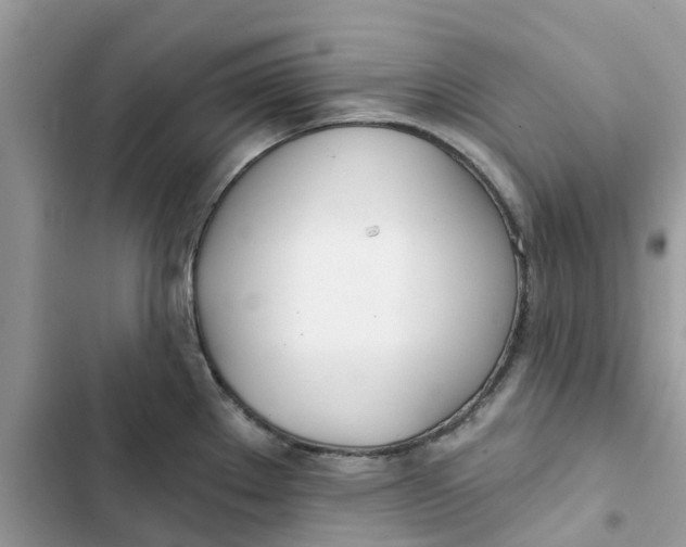 X0000103281289200809191757