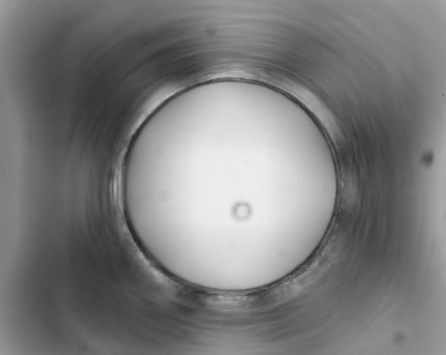 X0000103281290200809191757