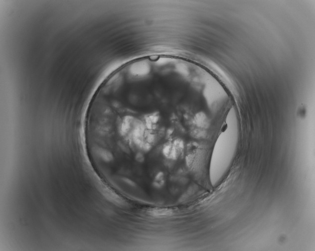 X0000103281291200809191757