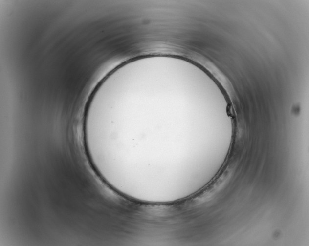 X0000103281293200809191757