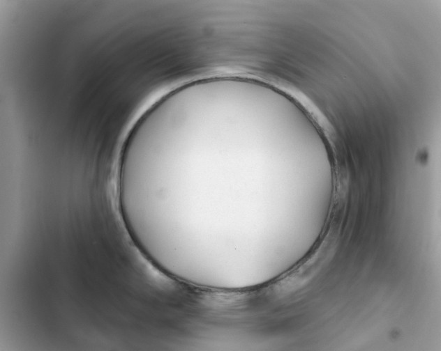 X0000103281294200809191757