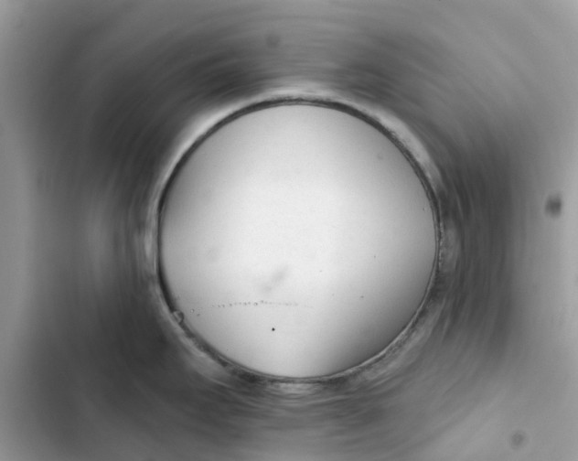 X0000103281295200809191757