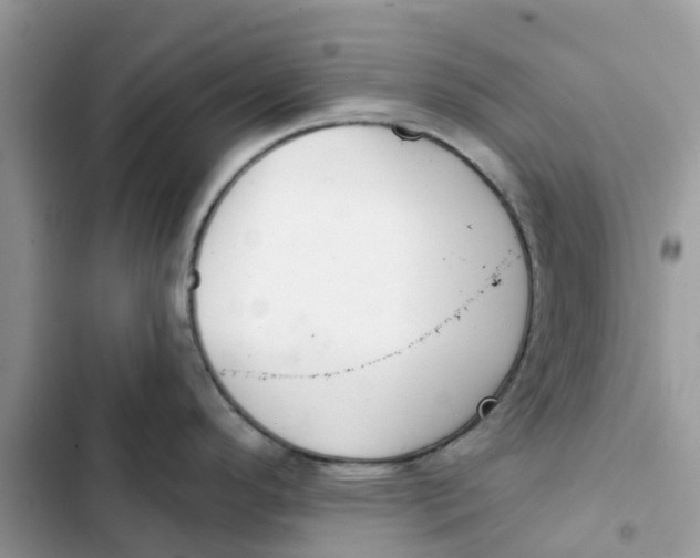 X0000103281296200809191757