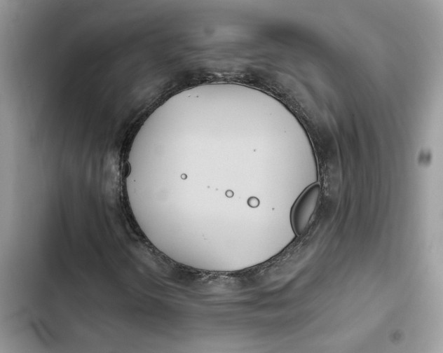 X0000103281298200809191756