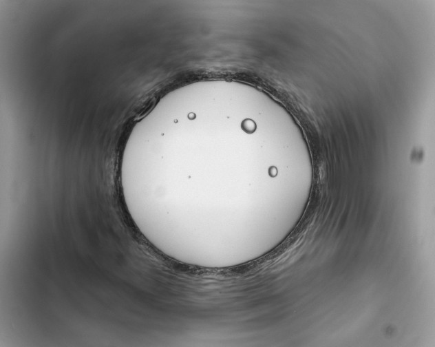 X0000103281300200809191756