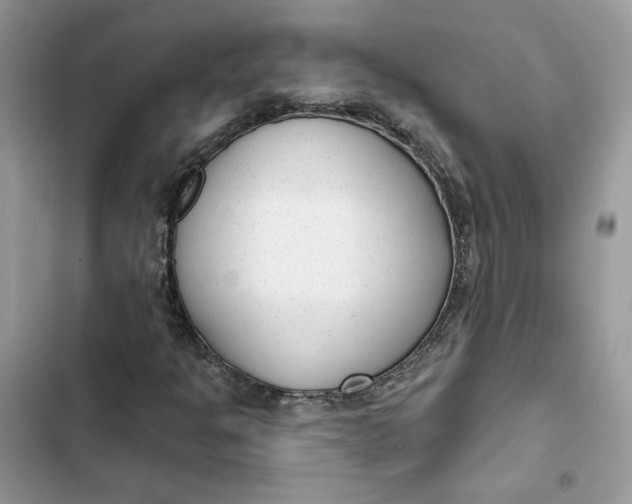 X0000103281301200809191756