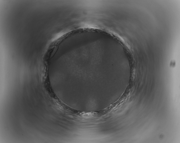 X0000103281303200809191756