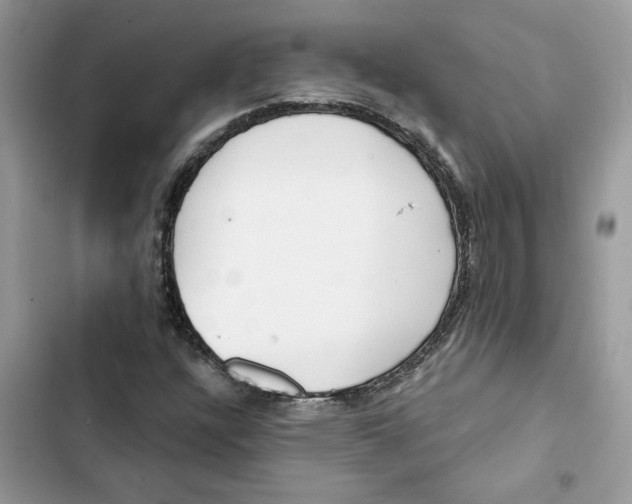 X0000103281304200809191756