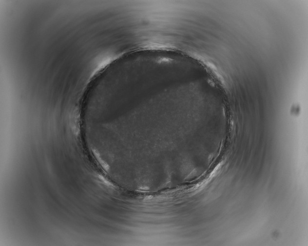 X0000103281306200809191757