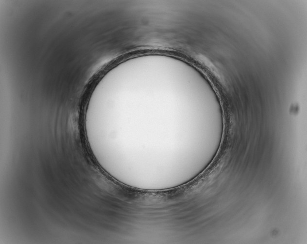 X0000103281307200809191757