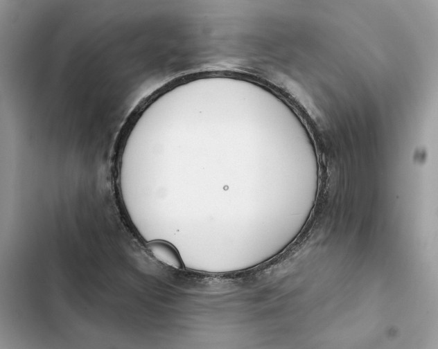 X0000103281308200809191757